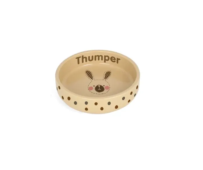 PF4520 Ceramic Pet Bowl