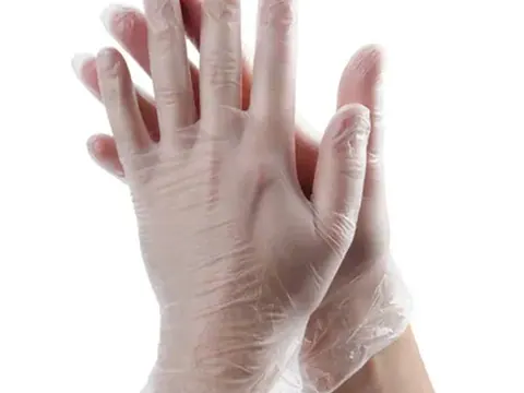 Vinyl Gloves