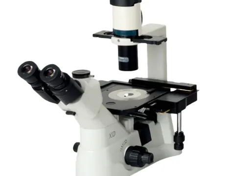 Biological Microscope