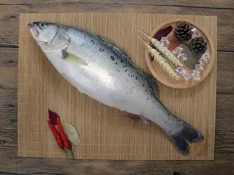 Seabass products