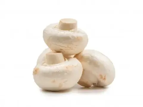 Canned champignon mushrooms with whole white caps in an open tin