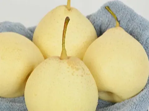 Ya Pear