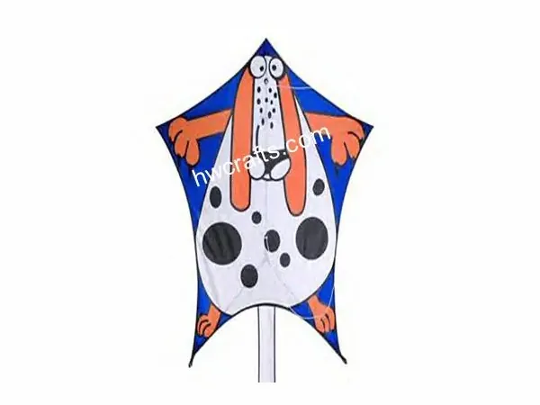 Kites — HWCrafts (China)