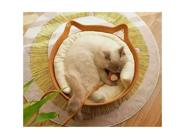 A cat sleeping in a lion mane designed pet bed with a toy held in its paws — Sarah Pet Products