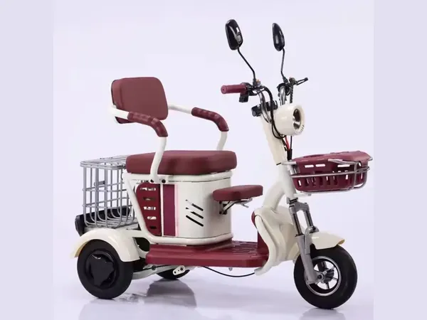 Specific Electric Tricycle — ZP Technology (Wuxi) Co., Ltd.