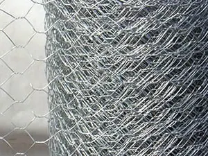 Hexagonal Wire Netting