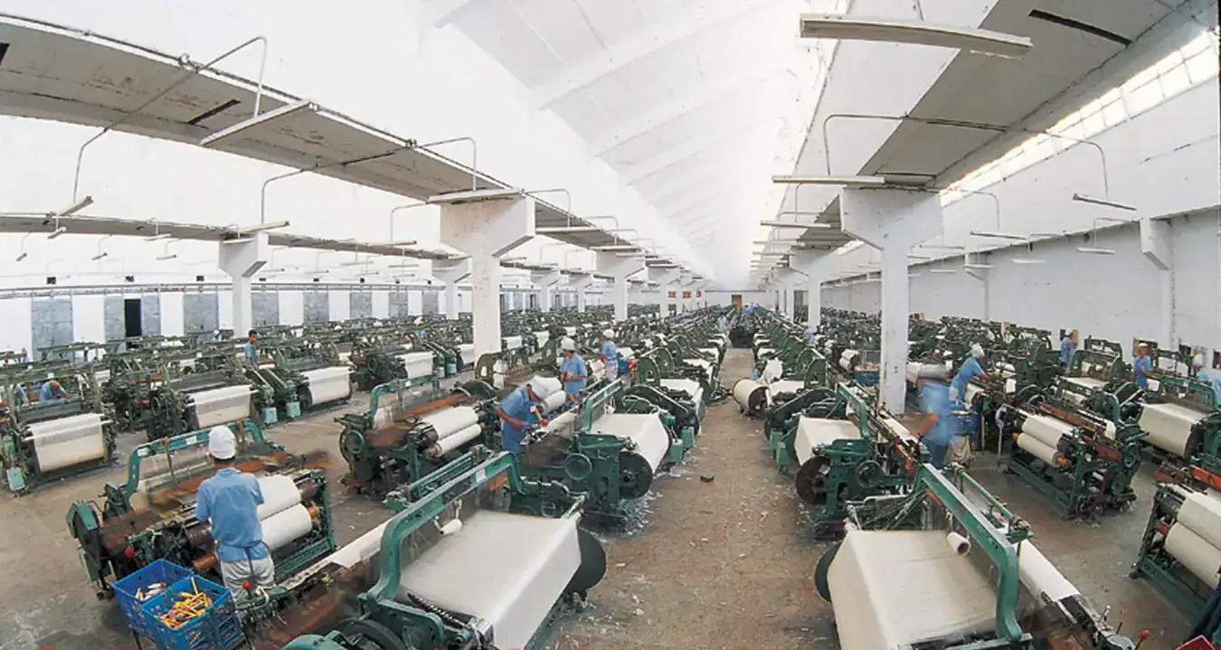 Cotton Woven In House