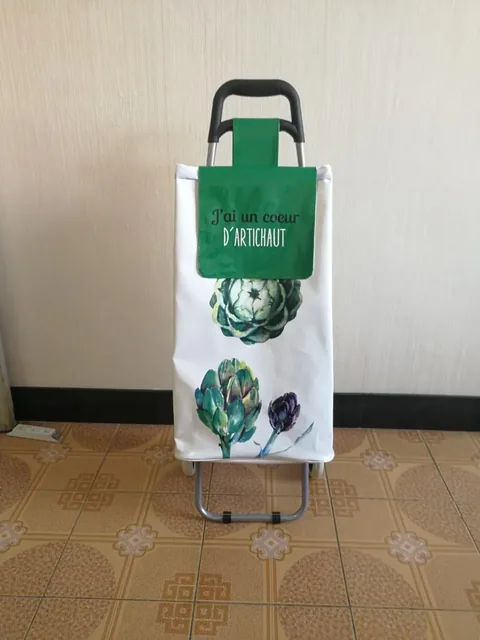 Folding Shopping Trolley In White With Green Flap