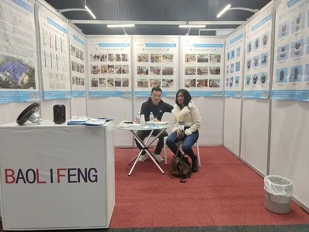 Baolifeng stand at Enlit Africa 2026 in Cape Town