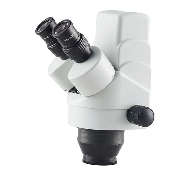 Cabeça de Microscópio Estéreo