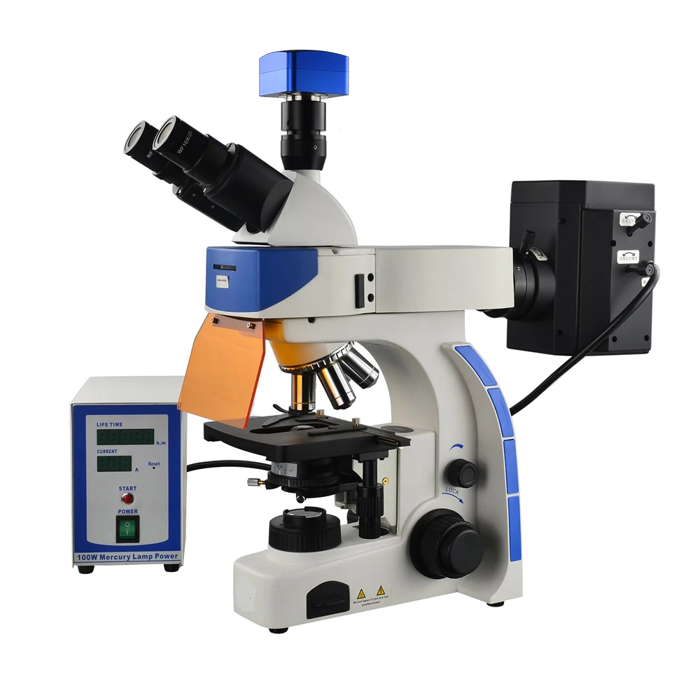 Microscópio de fluorescência de pesquisa upright XUF100