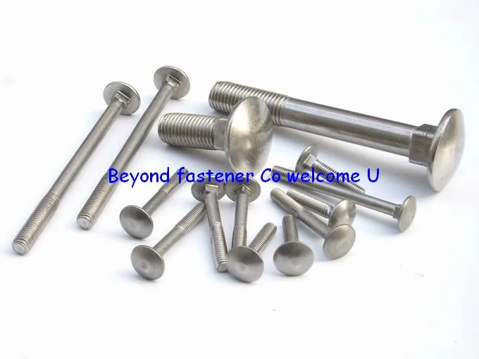 4 SS carriage bolt