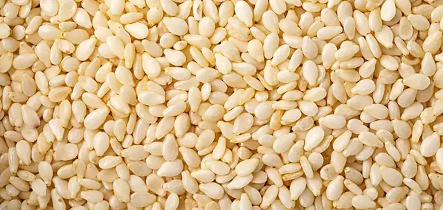 Boevan Granule Packing Solution