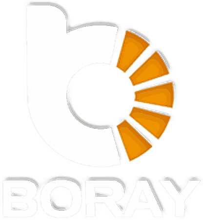Shenzhen Boray Technology Co., Limited logo