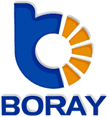 Shenzhen Boray Technology Co., Limited logo