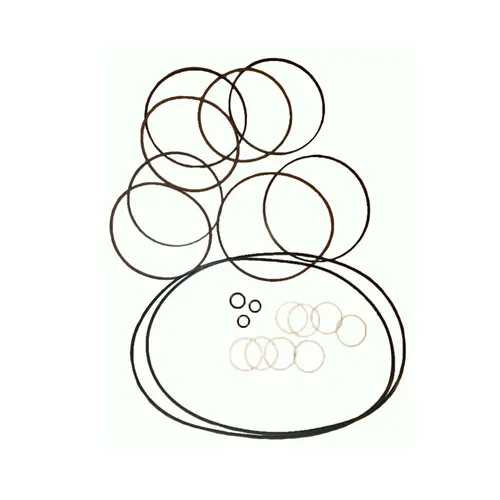 6676021 Seal Kit for Bobcat 863 873 A300 Single Speed Drive Motor