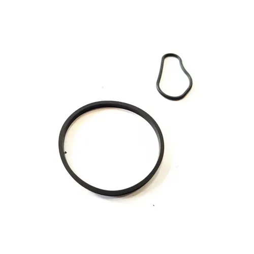459941 Brake Vacuum Pump Seal Kit for Peugeot Citroen