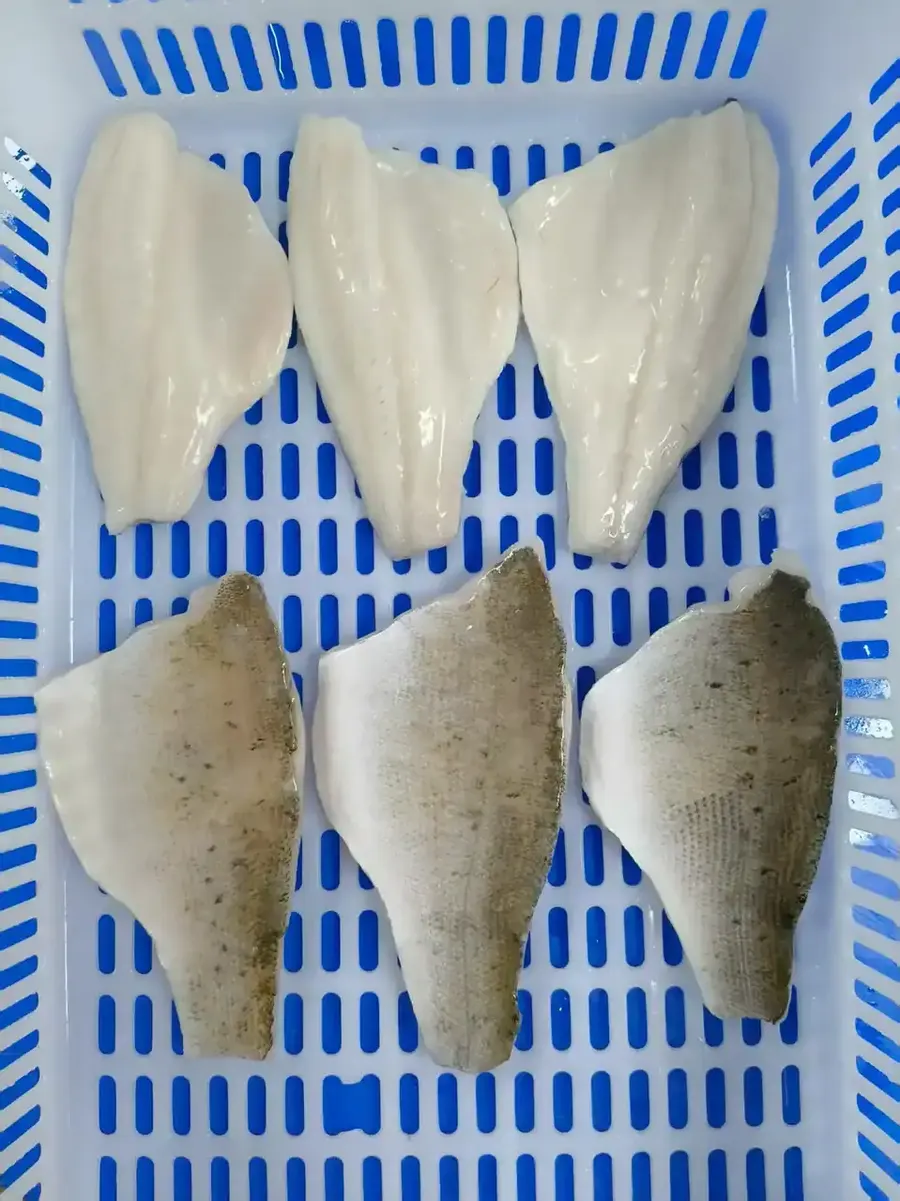 Frozen Seabass Fillet Skin On or Skinless