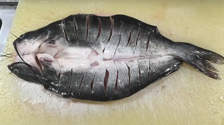 Frozen Channel Catfish