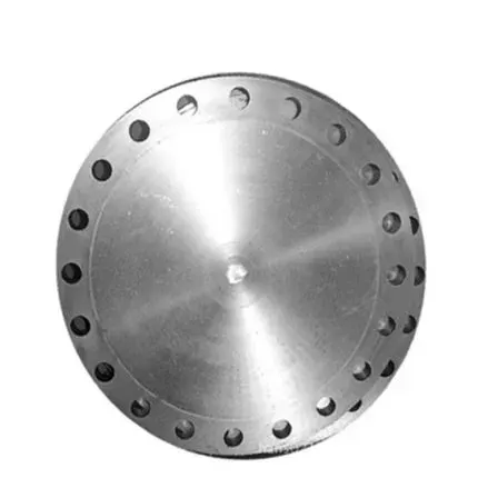 Stainless Steel Pipe Flanges