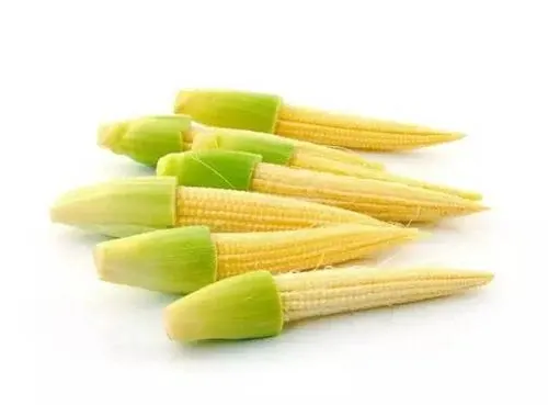 Canned Baby Corn