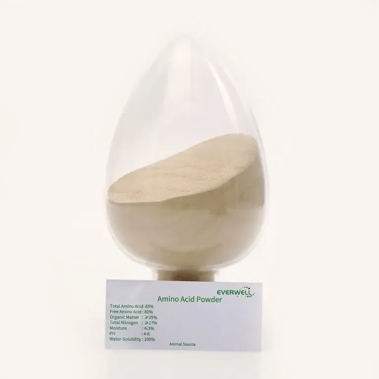 Amino Acids 80