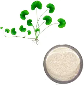 Centella Asiatica Extract
