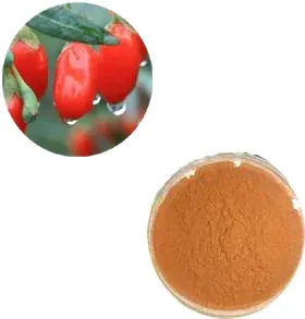 Medlar Extract