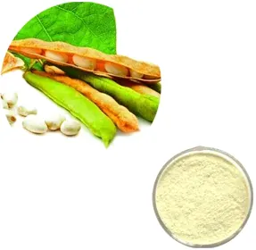Soybean Isoflavone