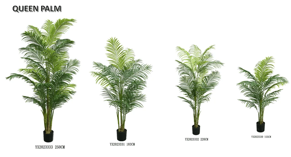 16 Leaves Queen Palm KD 220 cm alternative view 2