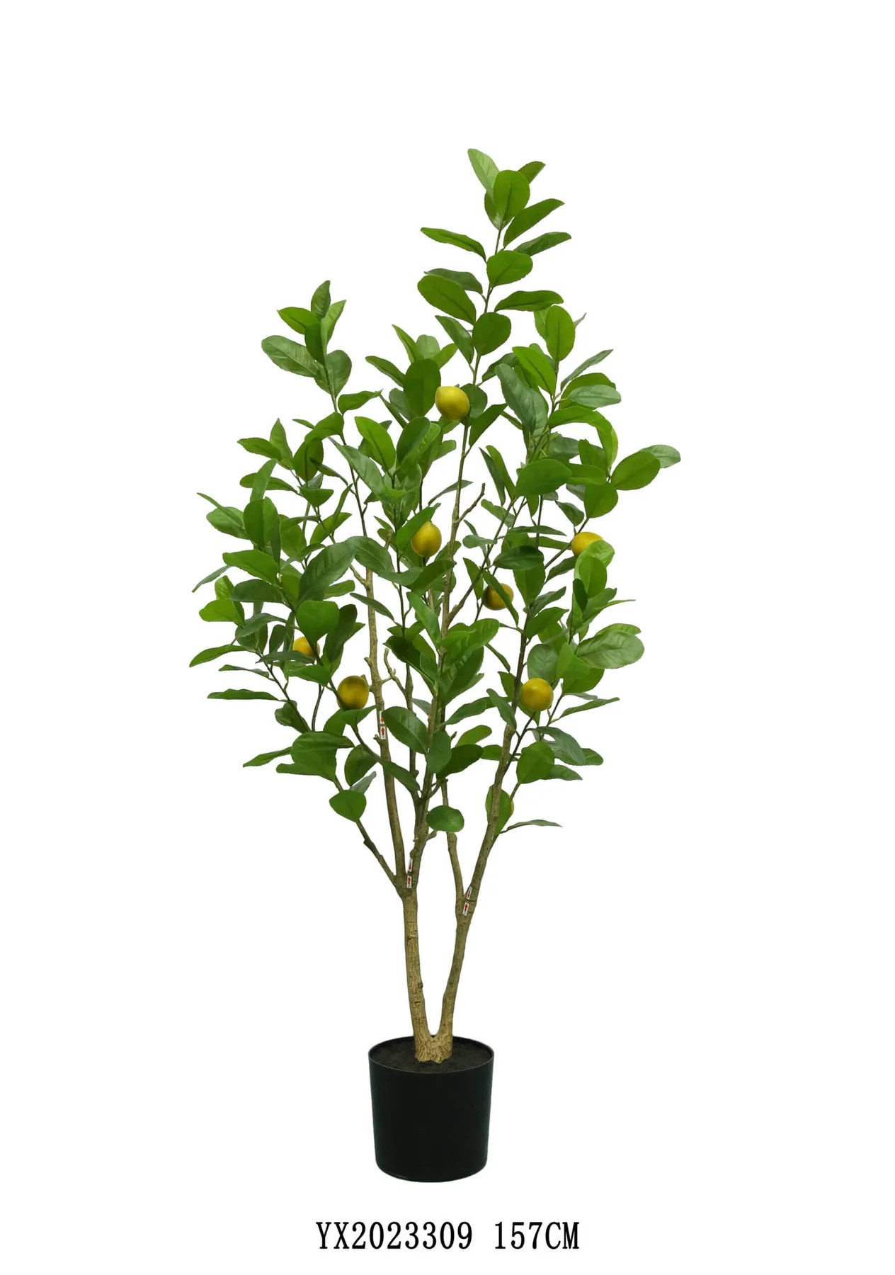 잎 220개 과일 8개 레몬 나무 KD MG TREE가 만든 157 cm 인공 나무