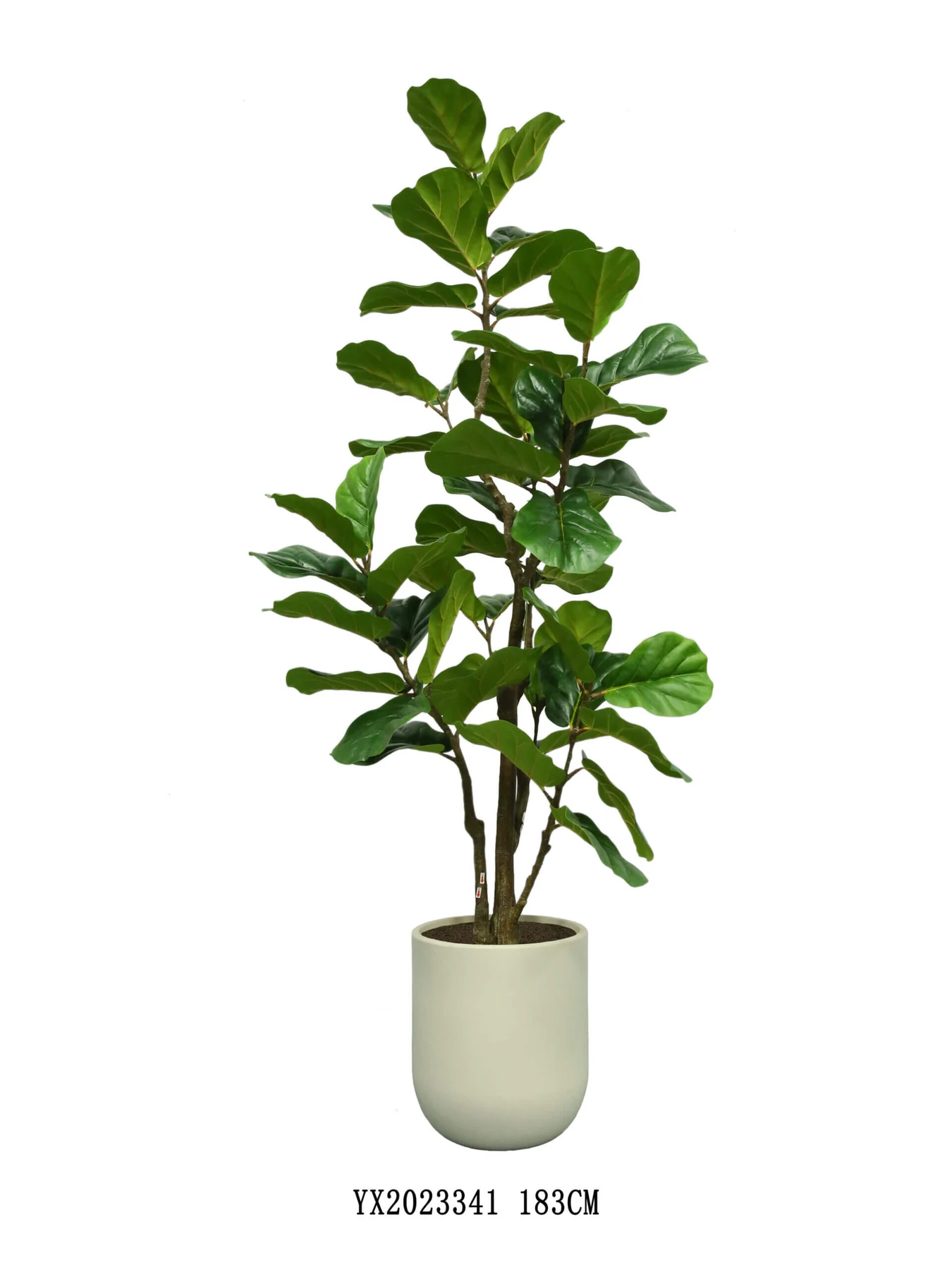 51 ورقة من نبات اللبخ الكبير دينار كويتي مع وعاء أسود YX2023341 شجرة صناعية مصنوعة من MG TREE