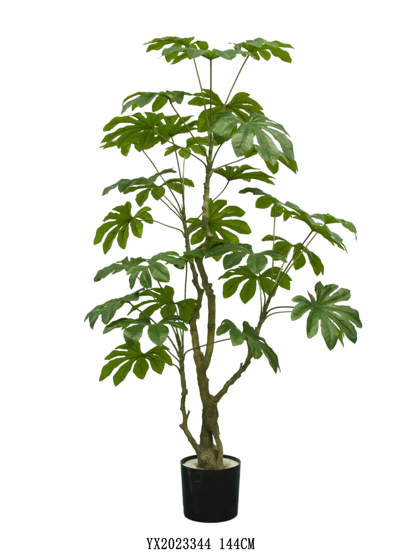 32 Leaves Eight Horn Ficus 144 cm alternative view 2