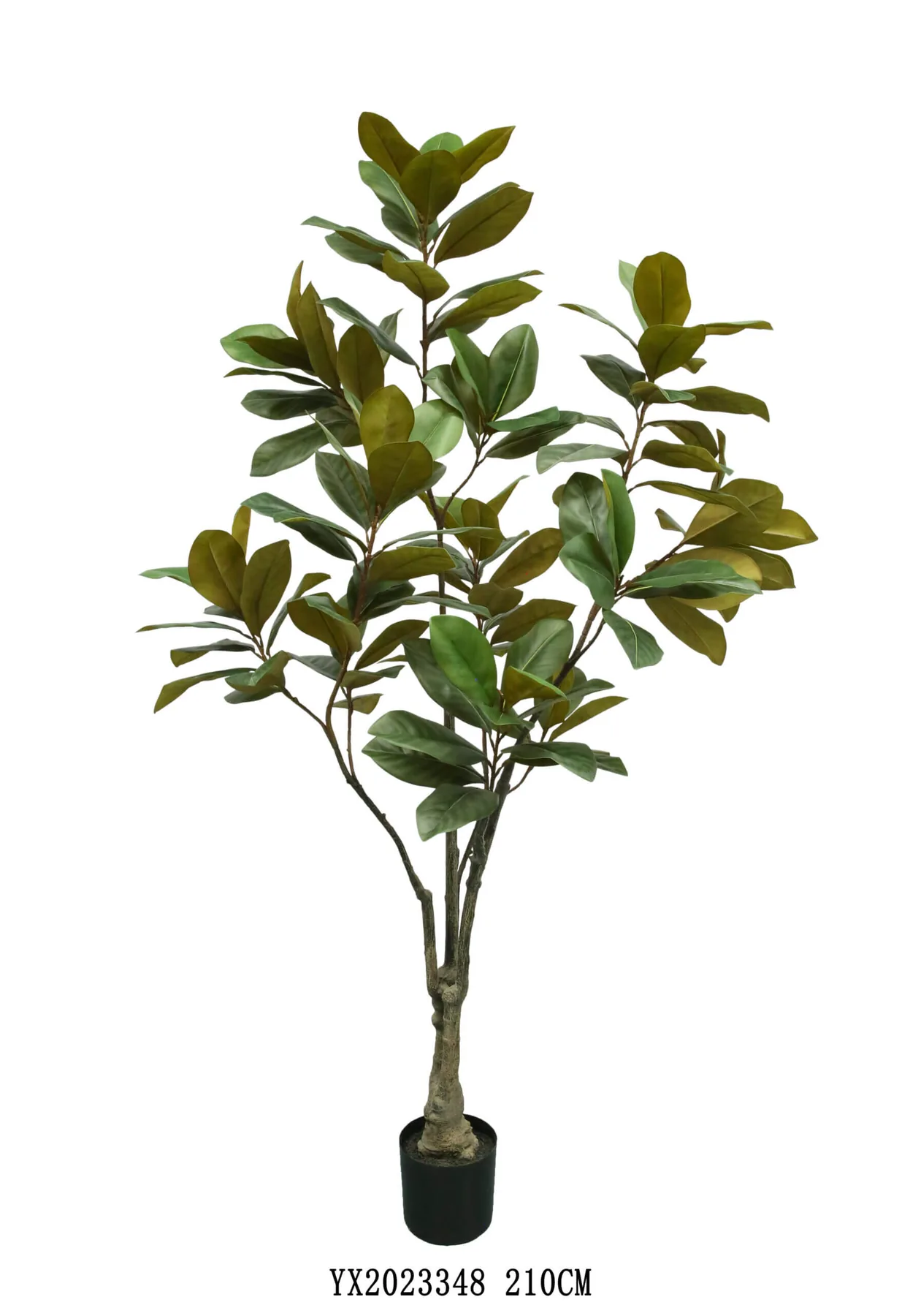 128 Leaves Magnolia 210 cm