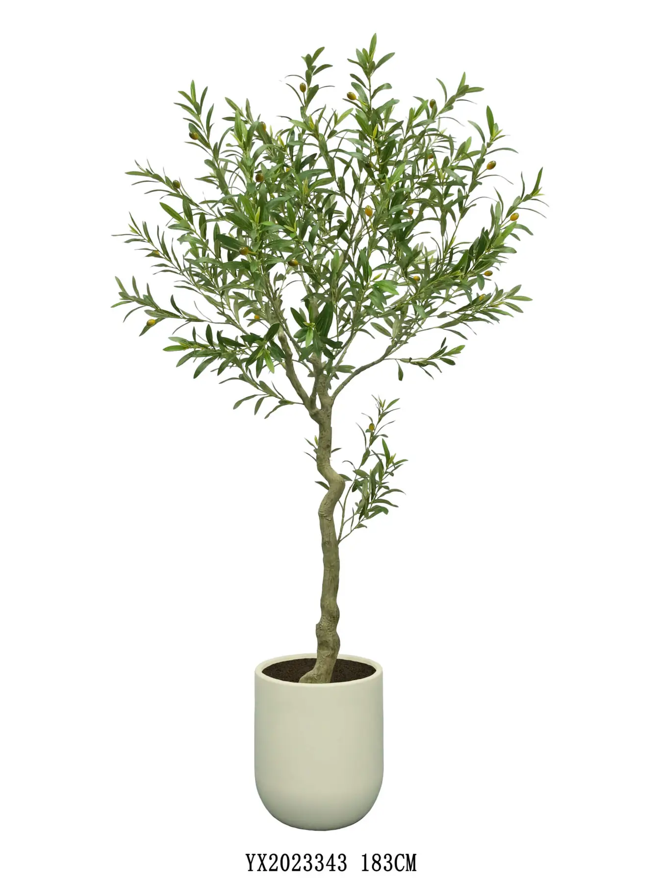 1170 Leaves Olive YX2023343 alternative view 2