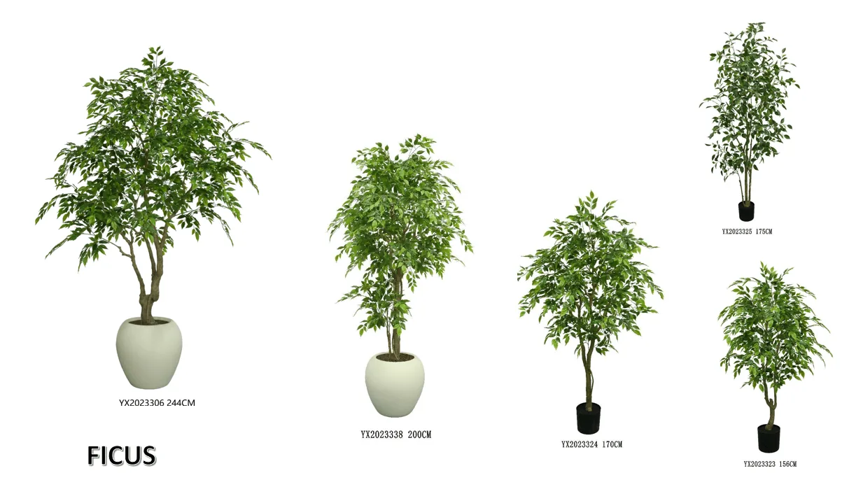 Mini Leaf Ficus 170 cm alternative view 2