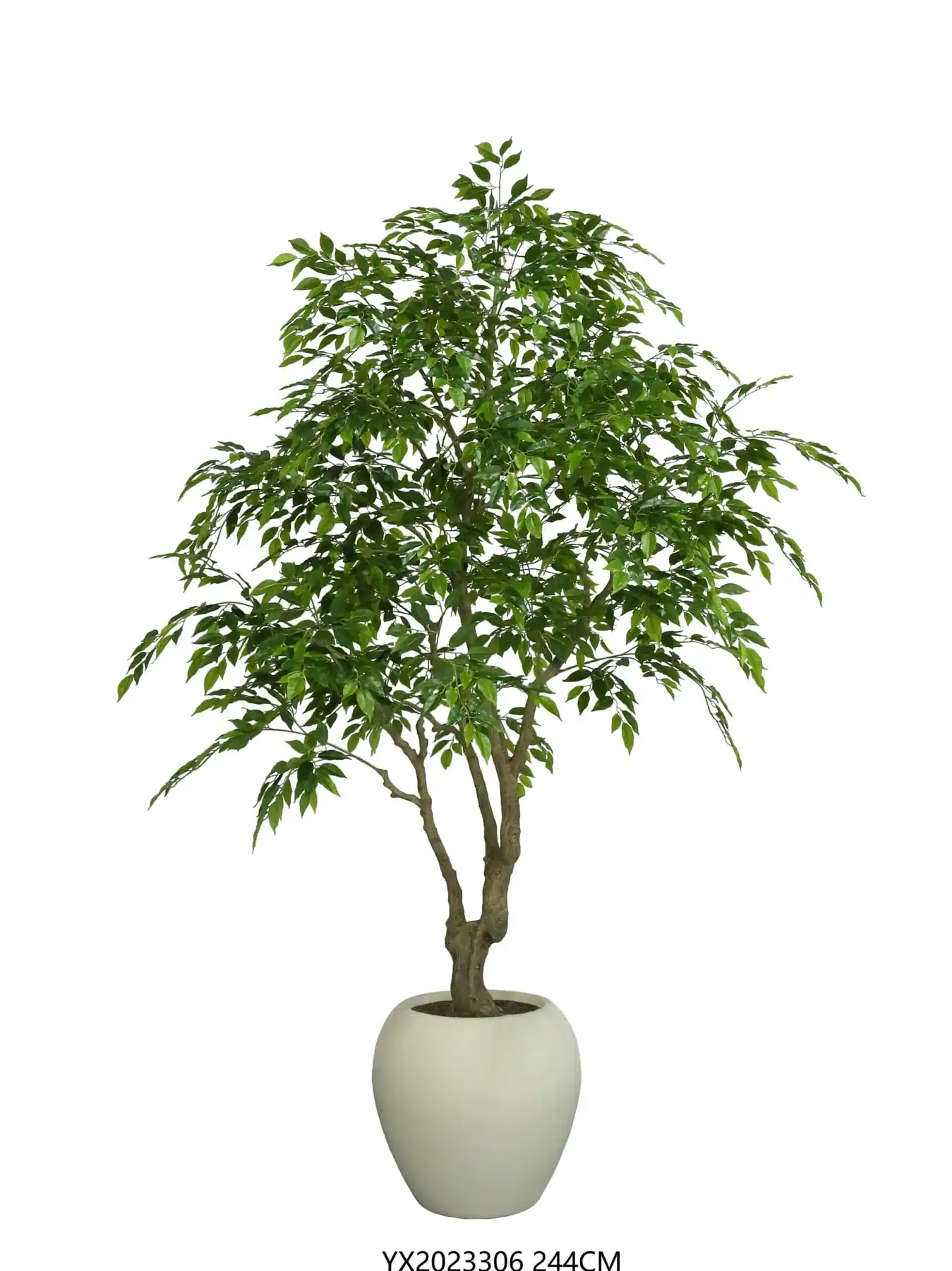 Mini Leaf Ficus 244 cm alternative view 2