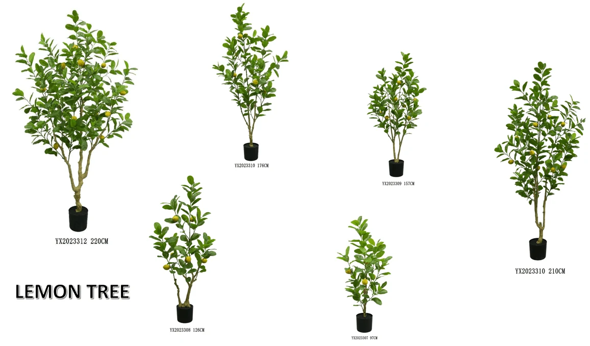 Lemon Tree 220 cm alternative view 2