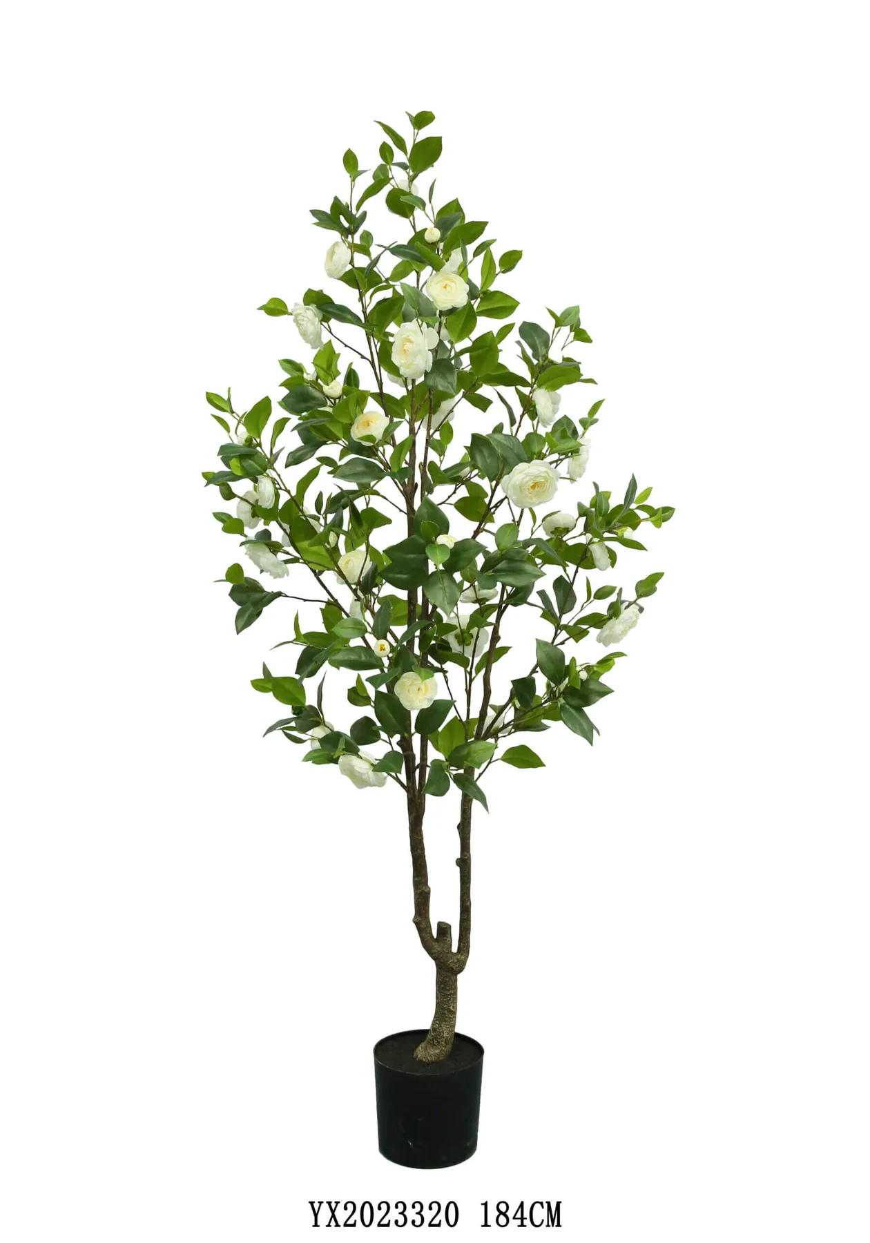 379 Leaves Camellia 184 cm