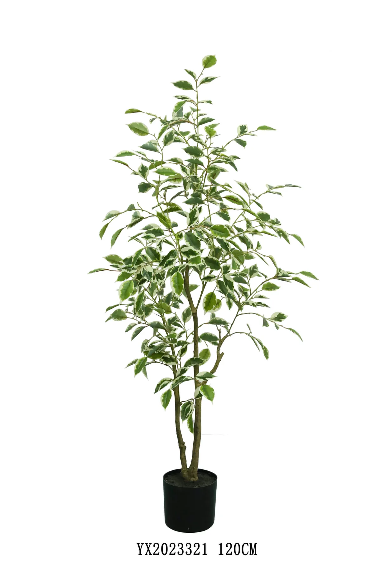White Edge Ficus 120 cm artificial tree made by MG TREE