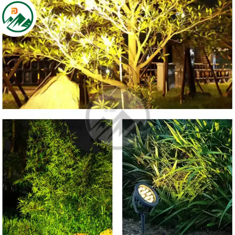 Spike light in use at night, uplighting a garden feature with a 24° beam