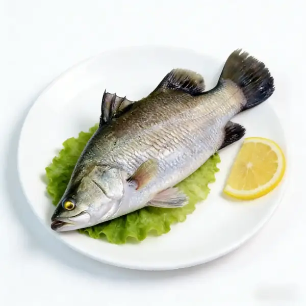 Ganze Barramundi mit Zitrone überzogen, mit silberner Haut und festem Körper