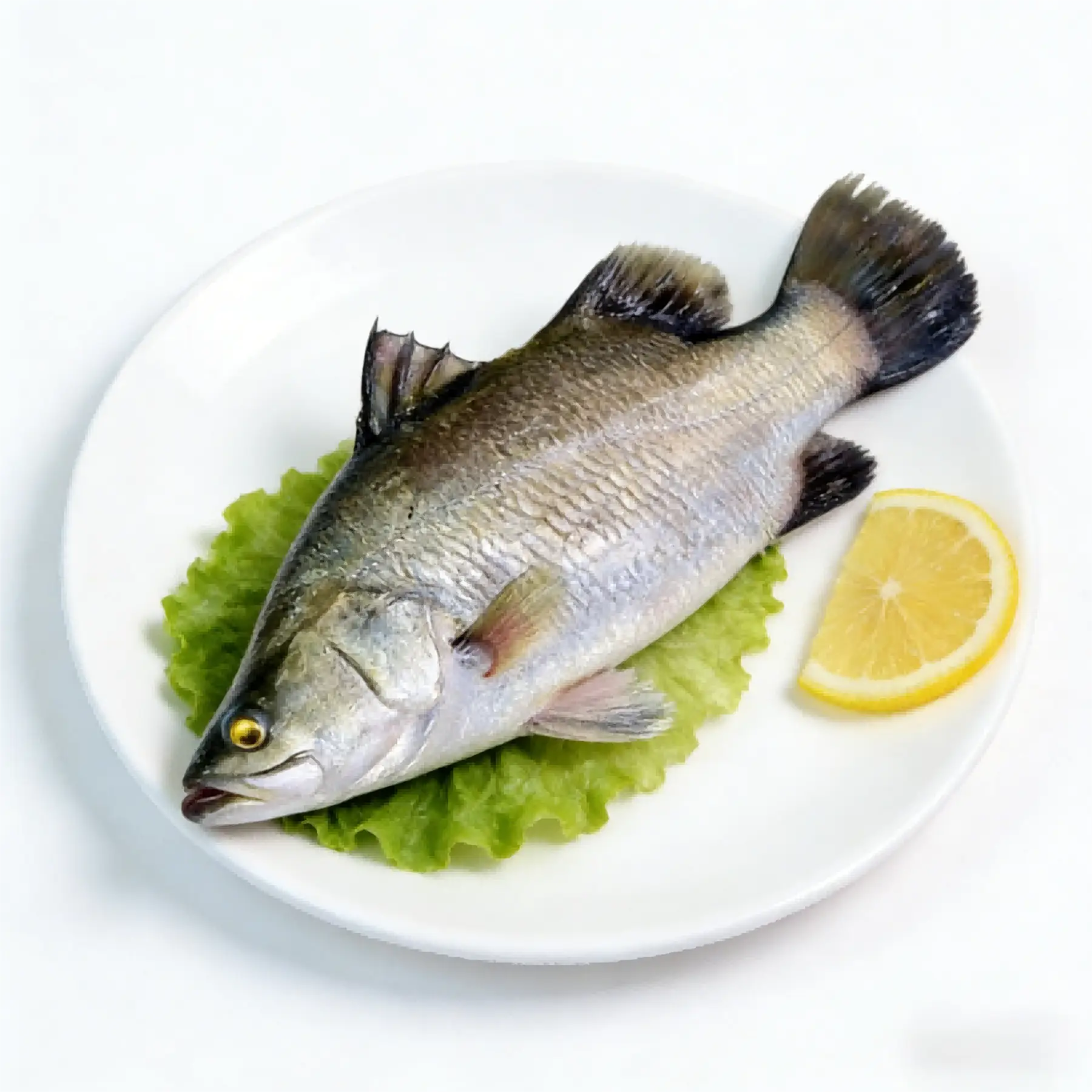 Whole barramundi plated with lemon showing silver skin and firm body
