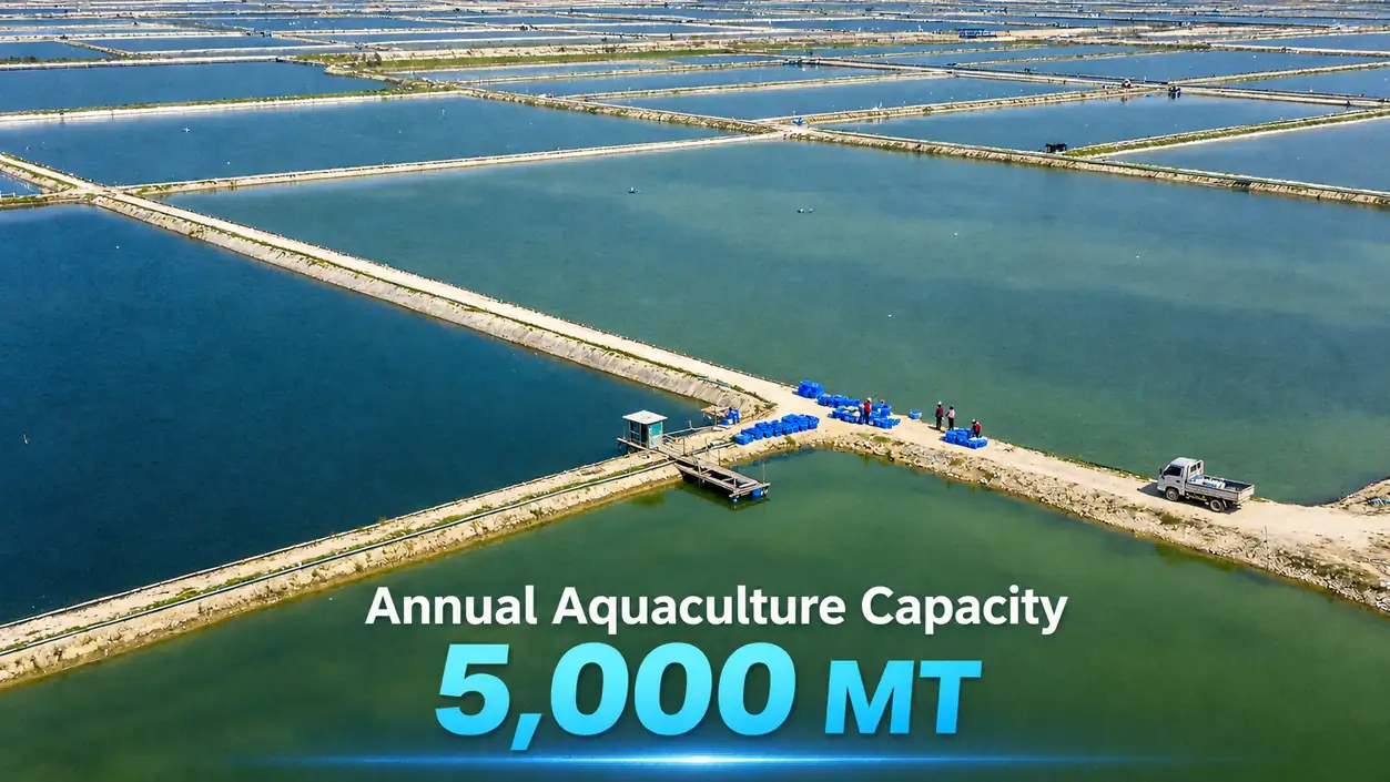Lagoas agrícolas de água salobra operadas pela FFH Food em Baijiao Zhuhai