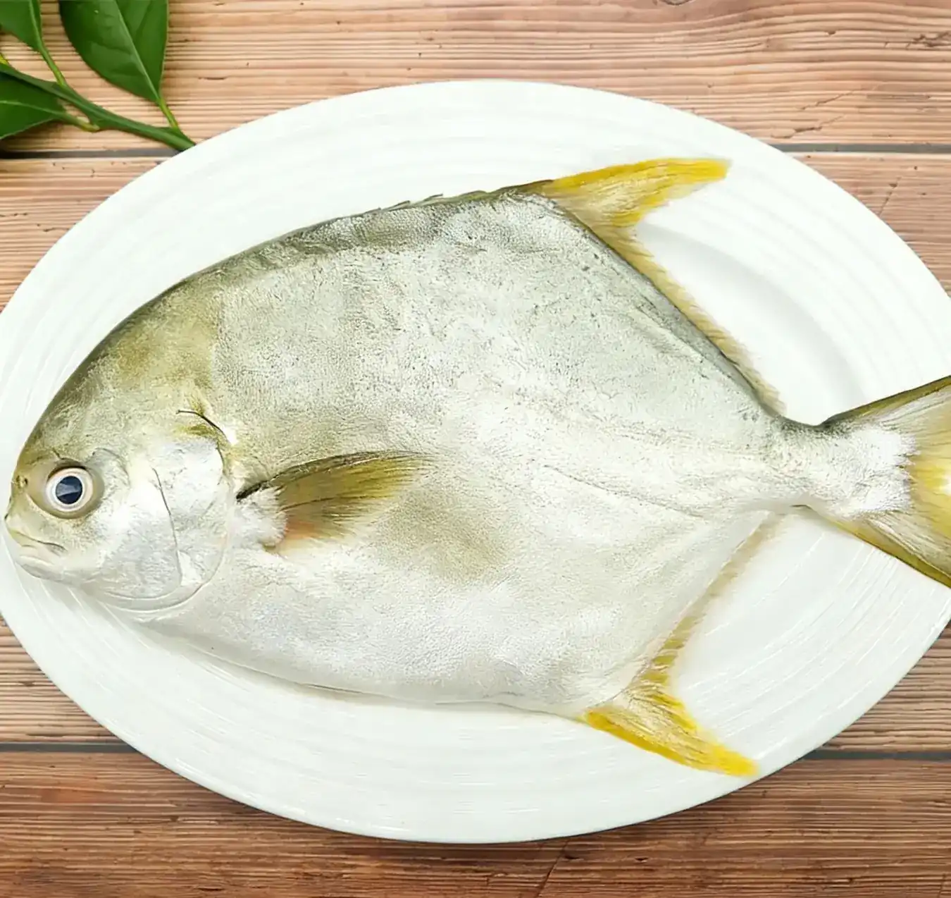 Whole golden pompano plated showing its silver body and yellow fins