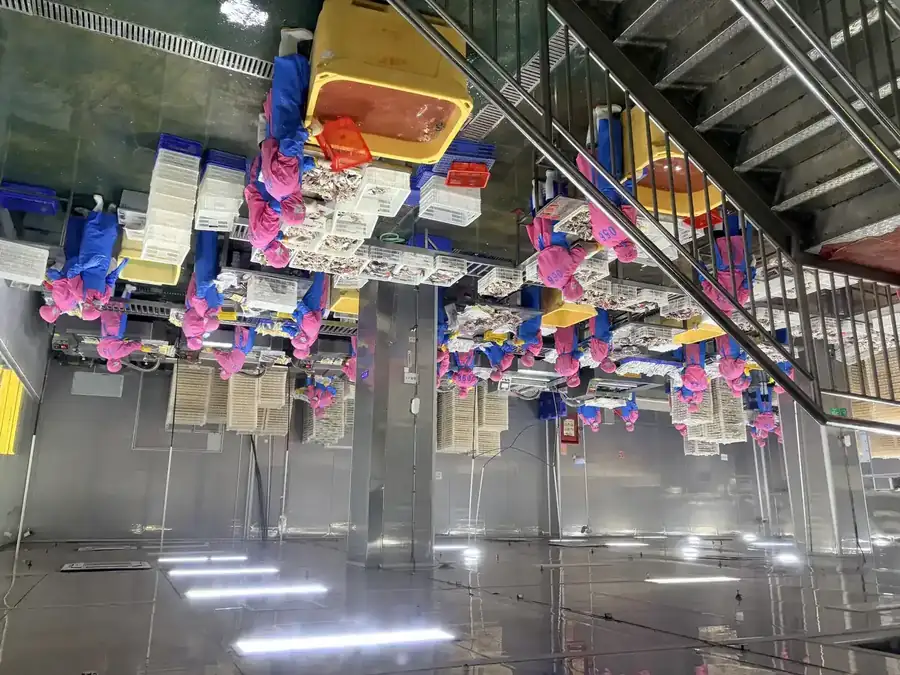 In der EU-zugelassenen Meeresfrüchte-Verarbeitungshalle FFH Food in Zhuhai