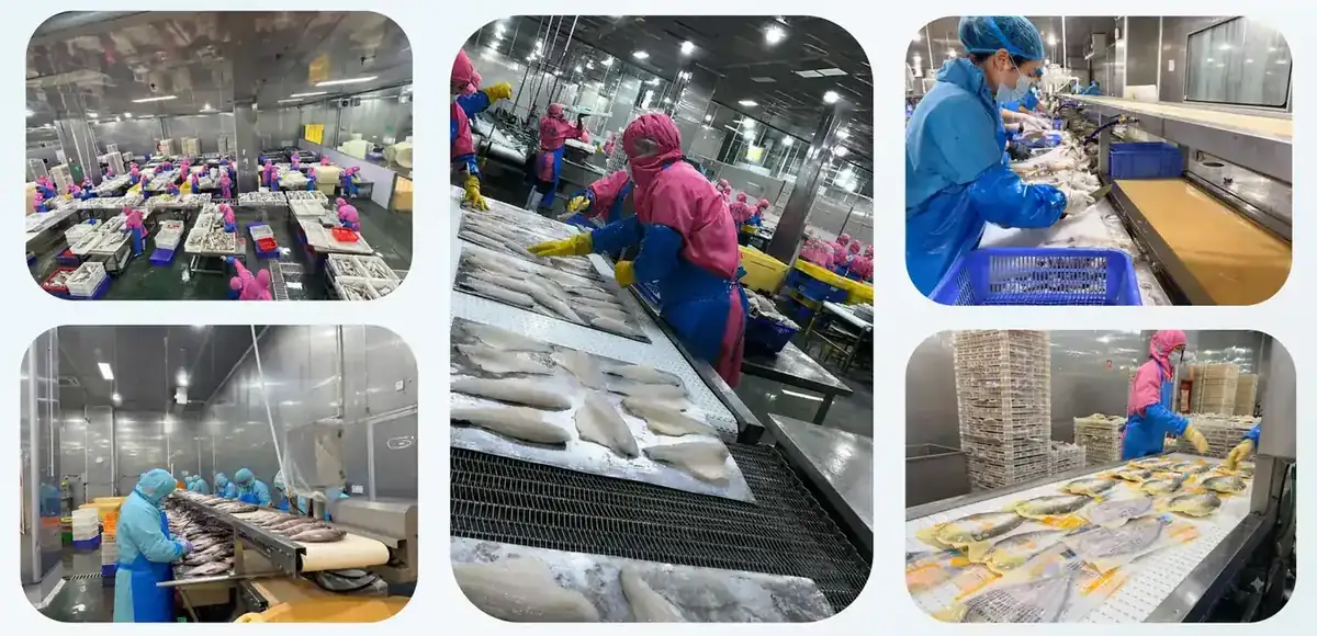 Produktionsbereiche der Meeresfrüchtefabrik FFH Food in Zhuhai