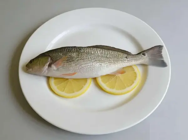 Ganzer roter Trommelfisch, überzogen mit Zitrone, mit Schwanzfleckmarkierung