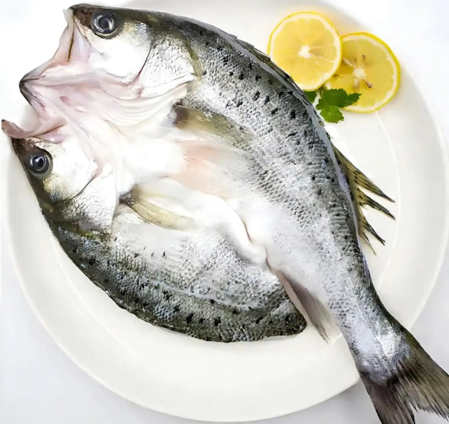 Seebarsch in Schmetterlingsform, flach geöffnet zum Grillen und Backen