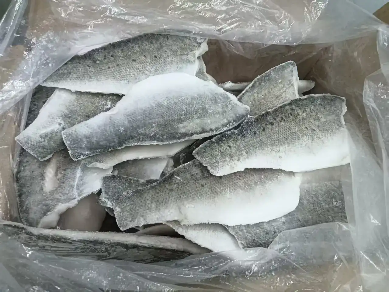 Wolfsbarschfilets mit Haut in der Güteklasse 5 bis 7 Unzen
